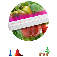 Б0045233 Светильник для растений, фитолампа светодиодная линейная ЭРА FITO-16W-Т5-N красно-синего спектра 16 Вт Т5