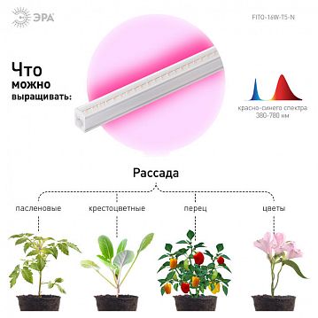 Б0045233 Светильник для растений, фитолампа светодиодная линейная ЭРА FITO-16W-Т5-N красно-синего спектра 16 Вт Т5  - фотография 7