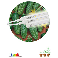Б0049315 Модульный светильник для растений ЭРА FITO-3х10W-LINE-Ra90 полного спектра 30 Вт