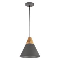Maytoni Bicones Подвесной светильник, цвет: Черный 1х60W E27