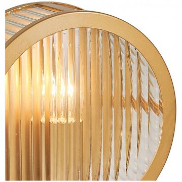 3099-1W Radiales настенный светильник D100*W200*H200, 1*E14LED*8W, excluded; каркас цвета золота, плафон из прозрачного рельефного стекла, 3099-1W  - фотография 3