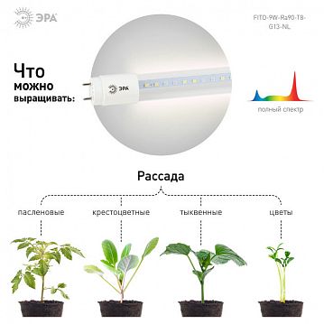 Б0042988 Фитолампа для растений светодиодная ЭРА FITO-9W-Ra90-Т8-G13-NL полного спектра 9 Вт Т8 G13  - фотография 6