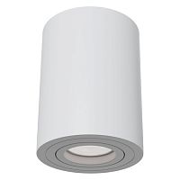 C016CL-01W Ceiling & Wall Alfa Потолочный светильник, цвет -  Белый, 1х50W GU10