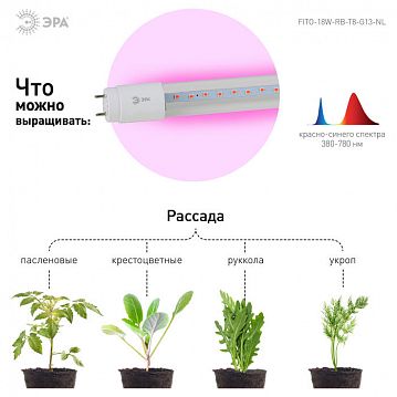 Б0042990 Фитолампа для растений светодиодная ЭРА FITO-18W-RB-Т8-G13-NL красно-синего спектра 18 Вт Т8 G13  - фотография 7