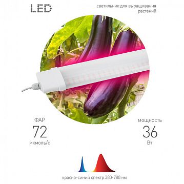 Б0045697 Светильник для растений, фитолампа светодиодная линейная ЭРА FITO-36W-RB-N красно-синего спектра 36 Вт  - фотография 3