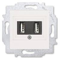 2CHH290040A6068 Розетка USB ABB LEVIT, скрытый монтаж, жемчуг, 2CHH290040A6068 2CHH290040A6068 Розетка USB ABB LEVIT, скрытый монтаж, жемчуг, 2CHH290040A6068