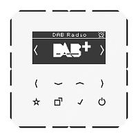 DABCDWW Цифровое радио Jung, с дисплеем, электронный, скрытый монтаж, белый, DABCDWW