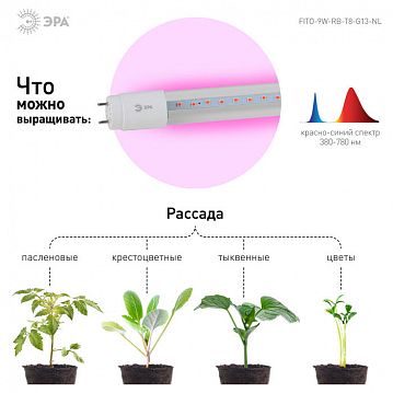 Б0042986 Фитолампа для растений светодиодная ЭРА FITO-9W-RB-Т8-G13-NL красно-синего спектра 9 Вт Т8 G13  - фотография 8
