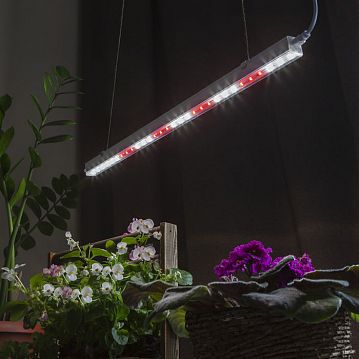 Б0049311 Светильник для растений, фитолампа светодиодная линейная ЭРА FITO-9W-T5-Ra90 полного спектра 9 Вт Т5  - фотография 6