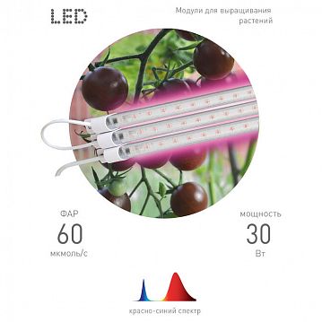 Б0050924 Модульный светильник для растений ЭРА FITO-3х10W-LINE-RB90 красно-синего спектра 30 Вт  - фотография 3