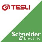 Совместное мероприятие TESLI и Schneider Electric в Екатеринбурге