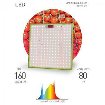 Б0053285 Квантум борд ЭРА FITO-80W-LED-QB Quantum board фитопрожектор полного спектра 80 Вт 3500К  - фотография 4