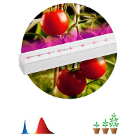 Б0045232 Светильник для растений, фитолампа светодиодная линейная ЭРА FITO-14W-Т5-N красно-синего спектра 14 Вт Т5