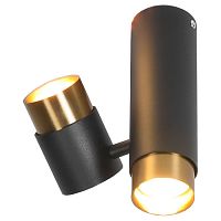 LSP-8378 GILBERT Потолочный светильник, цвет основания - черный, плафон - металл, 2x50W Gu10