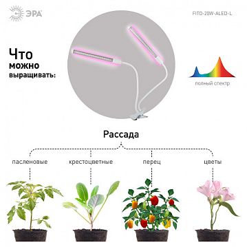 Б0049550 Светильник для растений на прищепке ЭРА FITO-20W-АLED-L полного спектра 12 Вт белый  - фотография 5