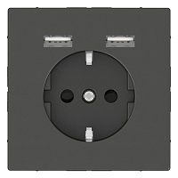 MTN2366-6034 Розетка с 2xUSB Schneider Electric MERTEN D-LIFE, скрытый монтаж, с заземлением, антрацит, MTN2366-6034