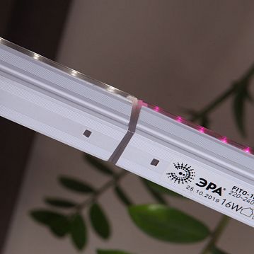 Б0049311 Светильник для растений, фитолампа светодиодная линейная ЭРА FITO-9W-T5-Ra90 полного спектра 9 Вт Т5  - фотография 8