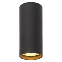 DK2051-BK DK2051-BK Накладной светильник, IP 20, 50 Вт, GU10, черный, алюминий